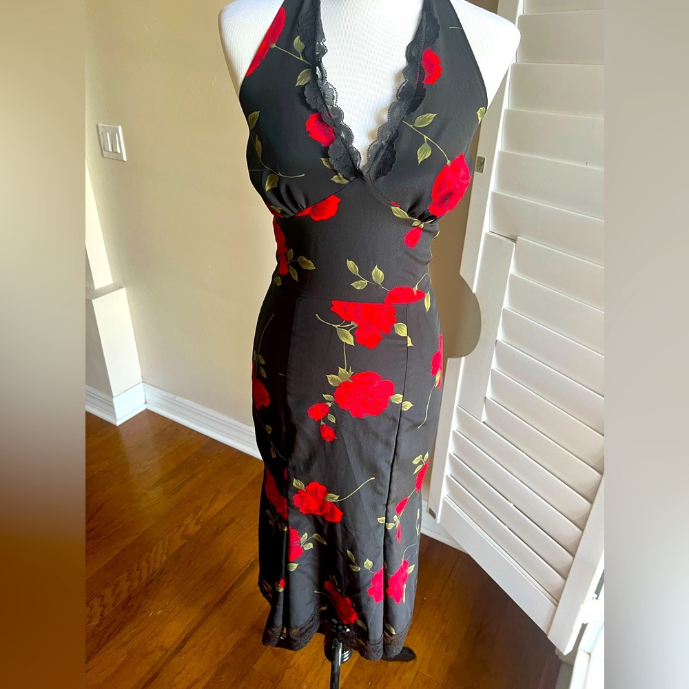 RARE Vintage Dixiefried rose print Cha Cha dress